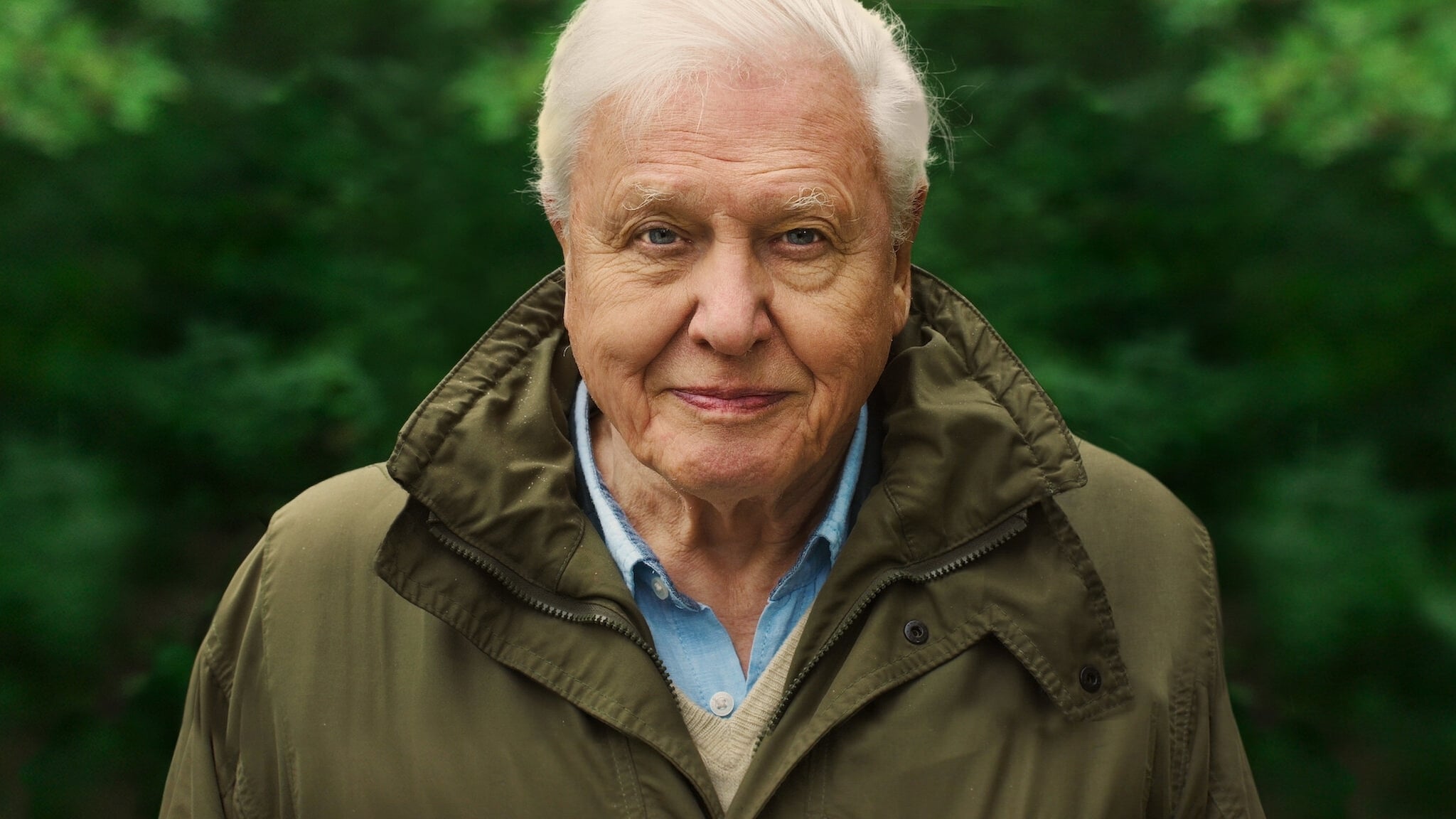 หนังดังต้องดู David Attenborough A Life on Our Planet โลกที่มหัศจรรย์